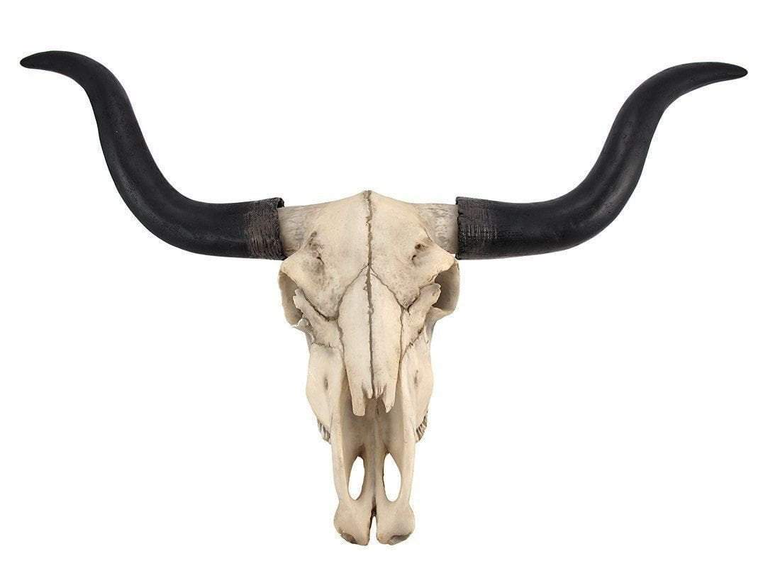 Annabelle Home Bison Skull