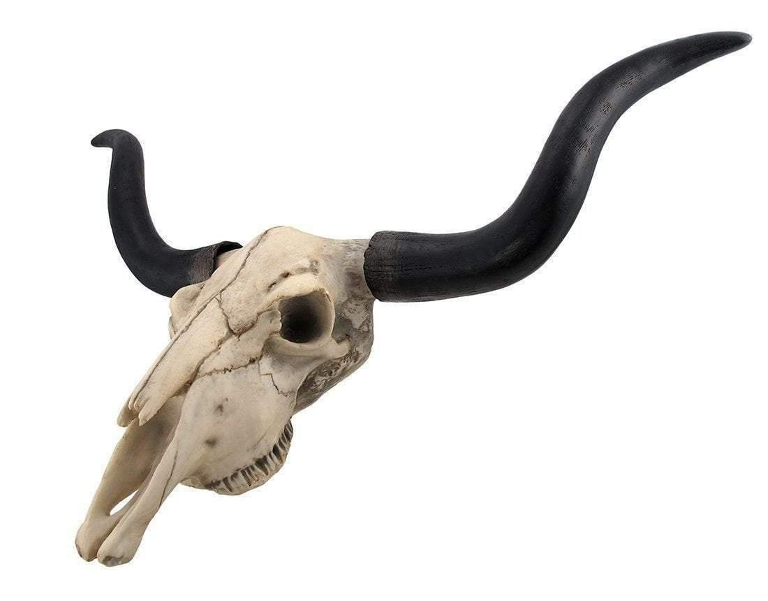 Annabelle Home Bison Skull