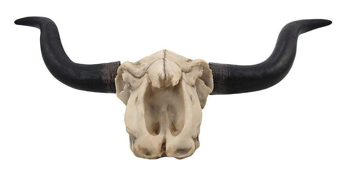 Annabelle Home Bison Skull