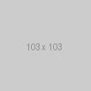 Test 103