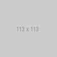 Test 113