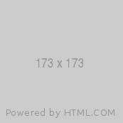 Test 173