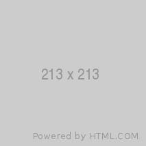 Test 213