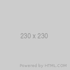 Test 230