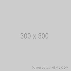 Test 300