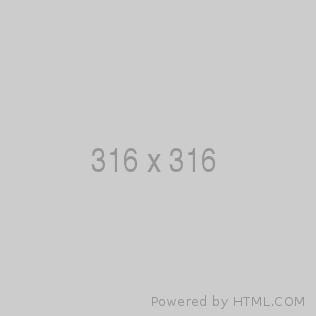 Test 316