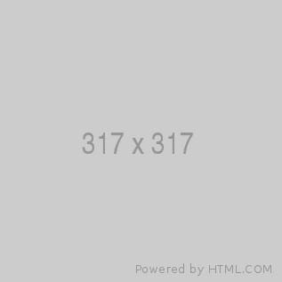 Test 317