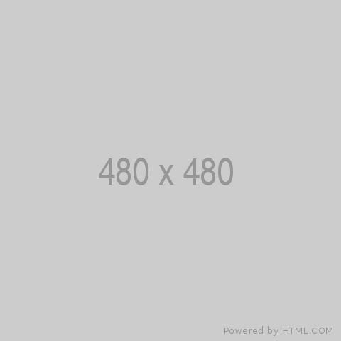 Test 480