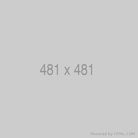 Test 481