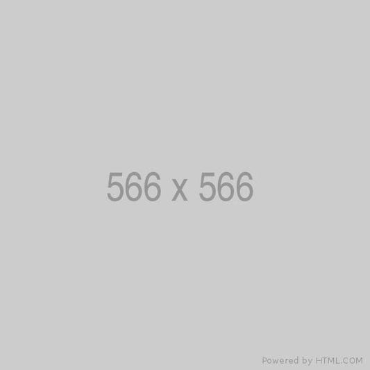 Test 566
